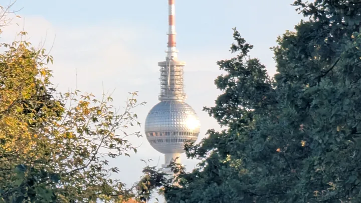 Berlin TV Tower in the distance surrounded by trees