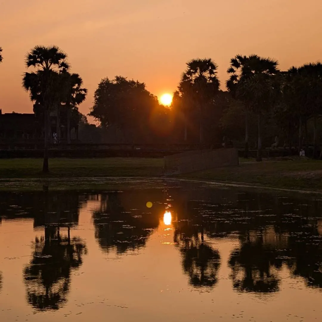 The sun rises between some trees and it's reflection is caught in a body of water