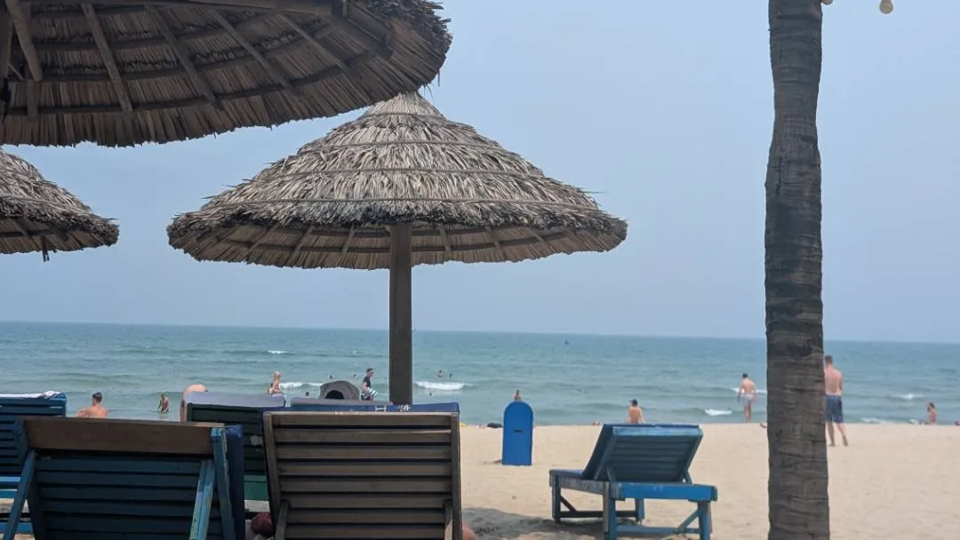 A palm tree, sea, and sand at a beach in Da Nang