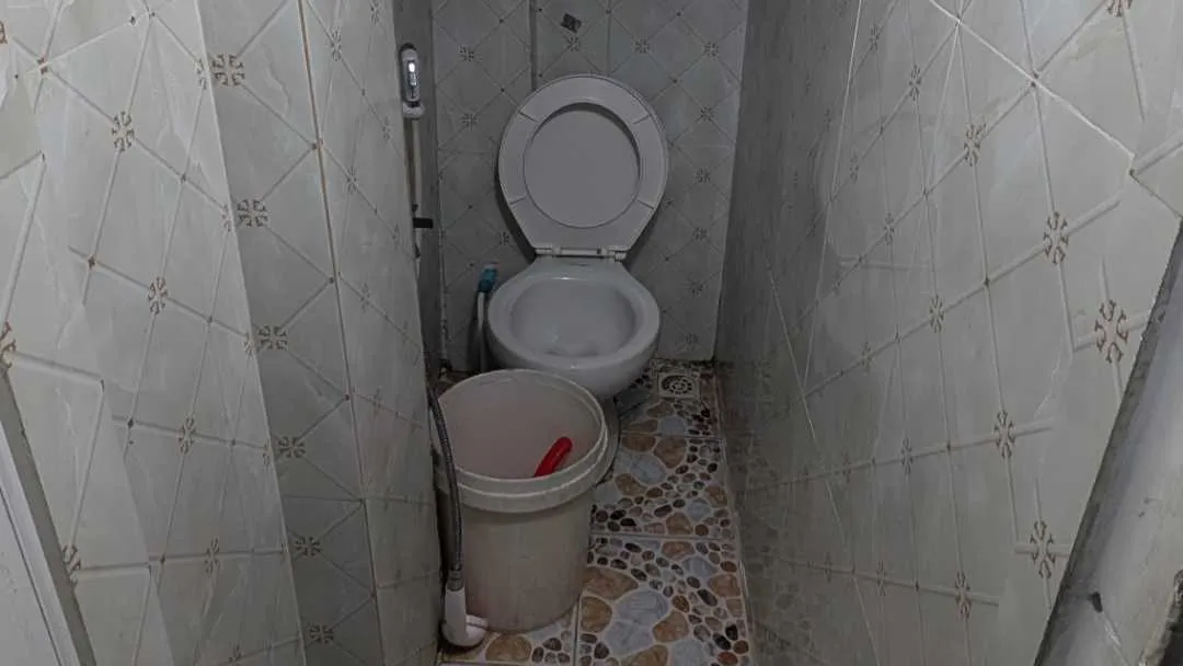 A photo of a toilet with a bucket as the flusher