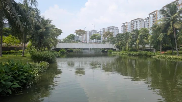 A bridge over a pond with trees on the left and buildings in the background on the right