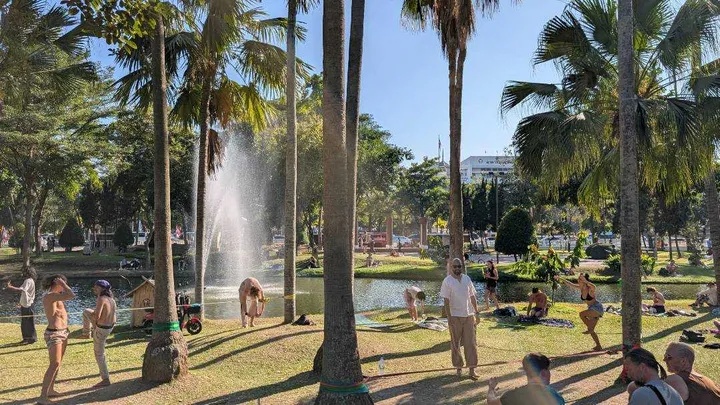 A group of people slacklining in a park