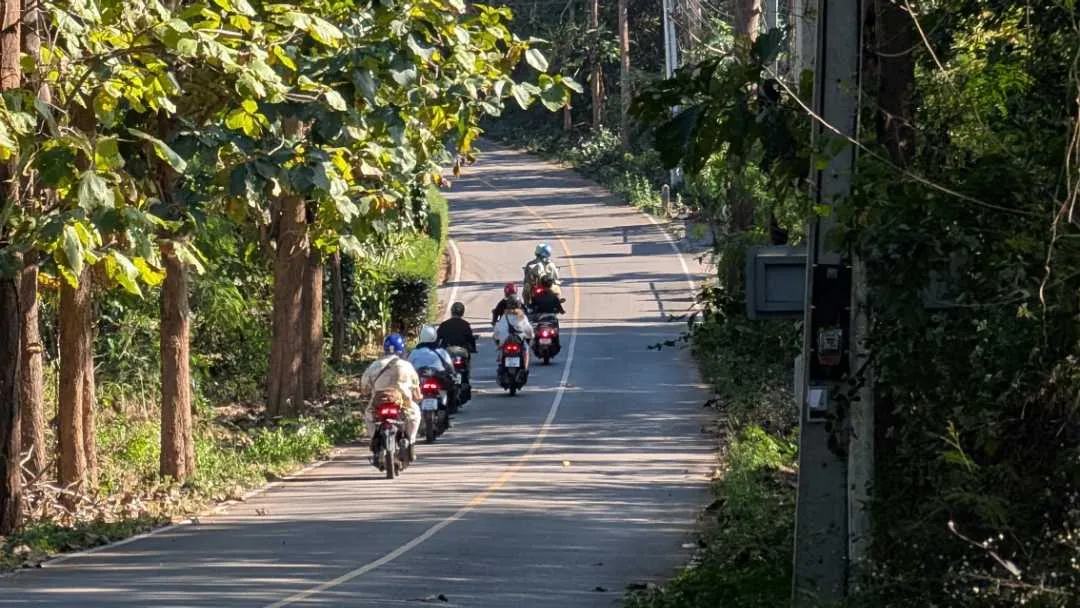 A group of people on scooters ride off in the distance