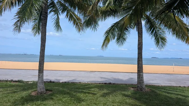 Two palm trees with the beach and sea between them