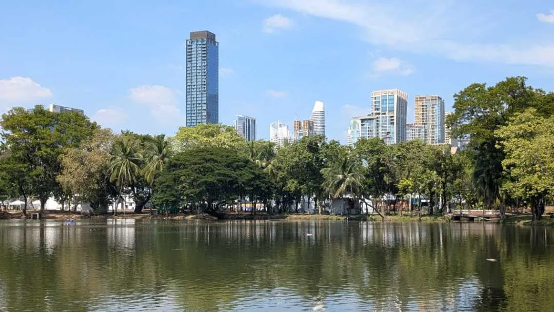 A picture of the lake, trees, and skyscrapers, in Lumphini Park