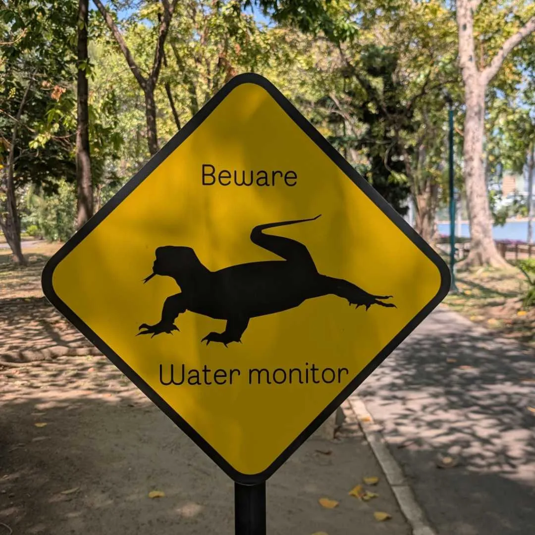 A warning sign about the monitor lizards in the park