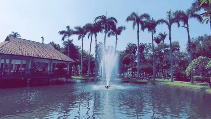 Buak Haad park with a fountain in the center of a pond shooting water. A hut is to the left and palm trees to the right
