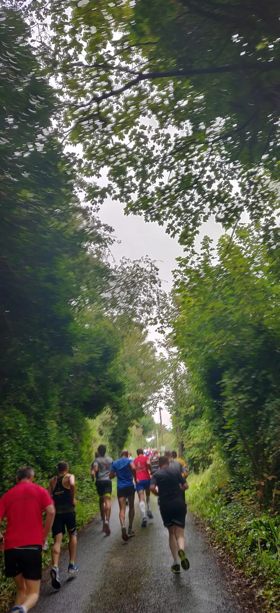 People running up a hill
